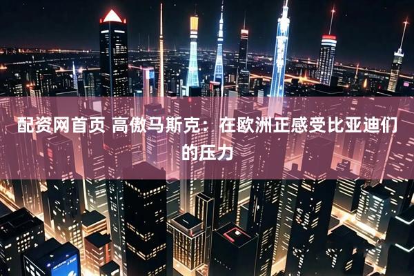 配资网首页 高傲马斯克：在欧洲正感受比亚迪们的压力