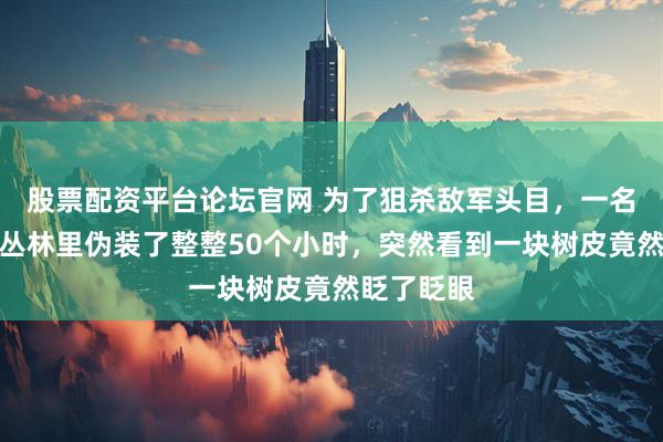 股票配资平台论坛官网 为了狙杀敌军头目，一名侦察兵在丛林里伪装了整整50个小时，突然看到一块树皮竟然眨了眨眼