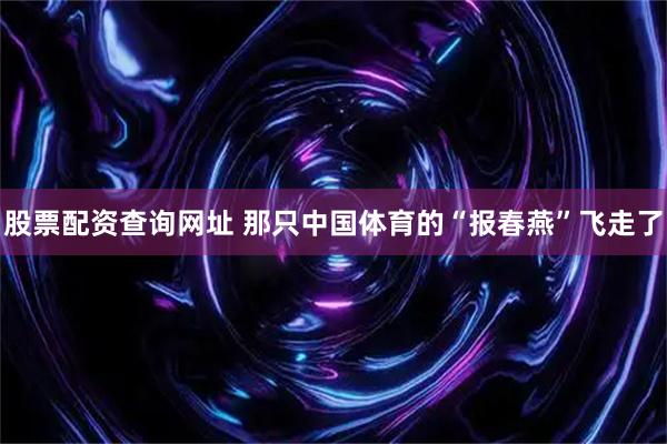 股票配资查询网址 那只中国体育的“报春燕”飞走了